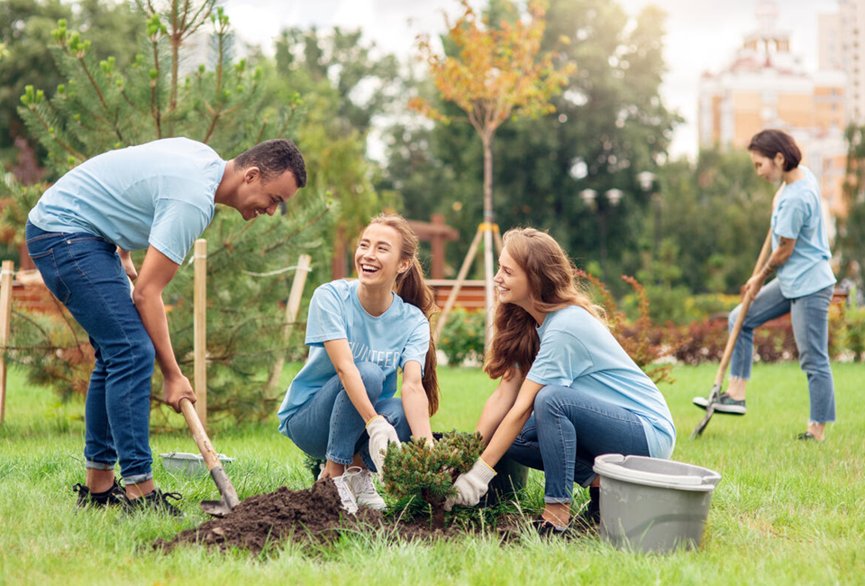 How To Improve Your Environmental Health And Its Impact On Well-being
