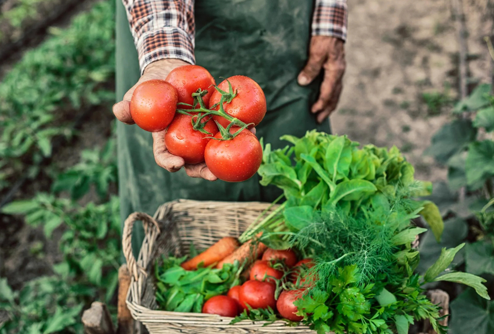 What Makes Organic Food A Wise Choice